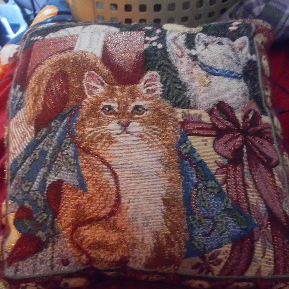 Christmas Cat throw blanket and Pillow set